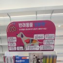 정성을다하는약국 이미지