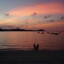 비고리조트 19 이미지