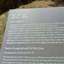 진주 정설 부부 묘 이미지