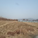 법원주유소 이미지