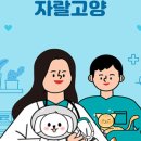 율하시티동물병원 네이버블로그