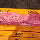 구암2동새마을문고 | 논산딸기축제 첫날 후기 동선 가이드 꼭 읽고 가세요~ 딸기천국