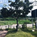 백년불고기 이미지