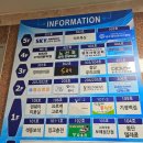 첨단 피부관리 잘하는 곳 "웰니스뷰티" 방문후기