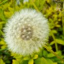 마부위침(磨斧爲針)뜻 이미지