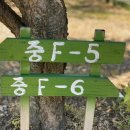 양양 고인돌 오토캠핑장 이미지