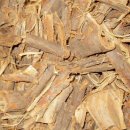 느릅나무집 이미지