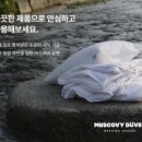 다운환경(주) 이미지