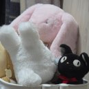 고품콩 | 002. 아차 아차 아뿔싸