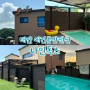 [태안 애견동반 펜션] “나인독스” 내돈내산 후기 | 수영장과 애견운동장이 있는 예쁜 숙소 애견풀빌라