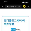 도그베이 이미지