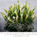 넝쿨화원