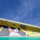 워라밸돔경기장 이미지