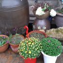 축현1리 이미지