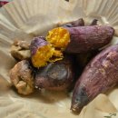 한입주개 이미지