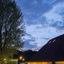 브런치앤숲 이미지