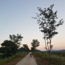 풍산보건지소 | 7월 낙동강 자전거길 점촌→상주→안동 둘째 날 라이딩 후기