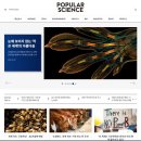 파퓰러 이미지
