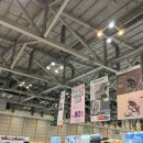 달보드레마카롱 | 임신일기) 33주차, 점점 늘어나는 몸무게와 식욕, 벡스코 베이비페어 후기