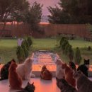 고양이 주택 이미지