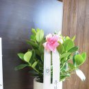 월영동149 이미지