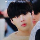 하빠하빠