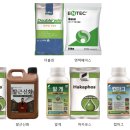 신화엔텍