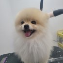 화멍화멍 이미지