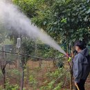 선녀농장 이미지