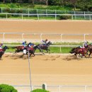 렛츠런파크 부산경남 이미지