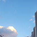 종전부동산 효행지구 도시개발사업 이미지