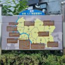 3.1운동비 이미지