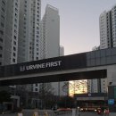 평촌어바인퍼스트호원어린이집 | 평촌 어바인퍼스트 VS 평촌 트리지아 임장기