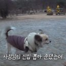 베테랑목장 이미지