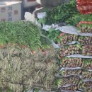 부일상회 이미지