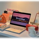 스테이에셀 이미지