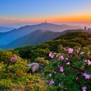 산 이미지