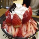 홍포다방 | 정왕동 설빙