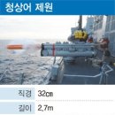 청상어 이미지