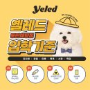 옐레드 동탄예당점 이미지