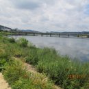 금호강영천 이미지