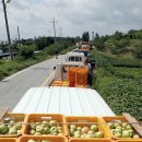 충북원예농협가공공장 이미지