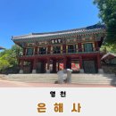 은해사 벚꽃길 | 팔공산 은해사 신라시대 창건된 천년 고찰