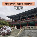 천안동남-F0133 | 천안 안서동 겹벚꽃 명소 " 각원사 " 전국 유명 사찰 경치 좋은 사찰 국내 최대 청대좌불상