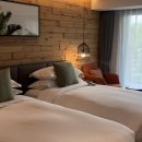 초록숲 하우스 이미지