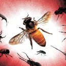 [횡설수설/장택동]곤충겟돈(동아일보) / ﻿[빛viit명상] 꿀벌 실종사건과 전자파 이미지
