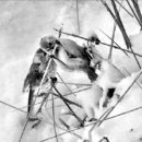 세운세탁 이미지