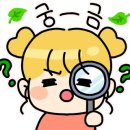 대호인테리어 - 안양시 동안구 귀인로 101 | 대호인테리어