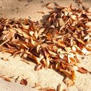 직업상담사 필기 - 직업상담학 이미지