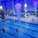 (주)안양워터랜드 이미지